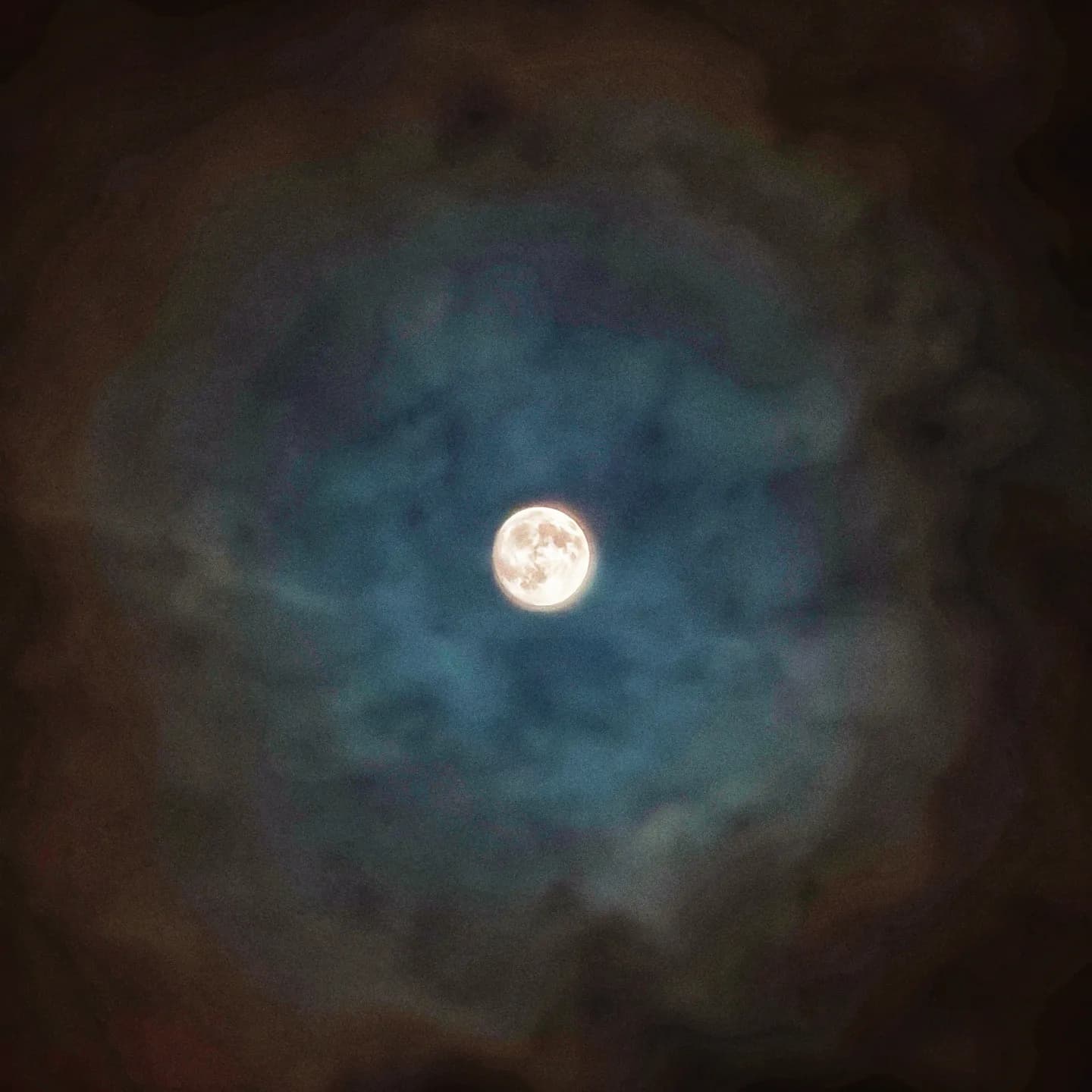 2025 10 06 basking under the moonlight supernova