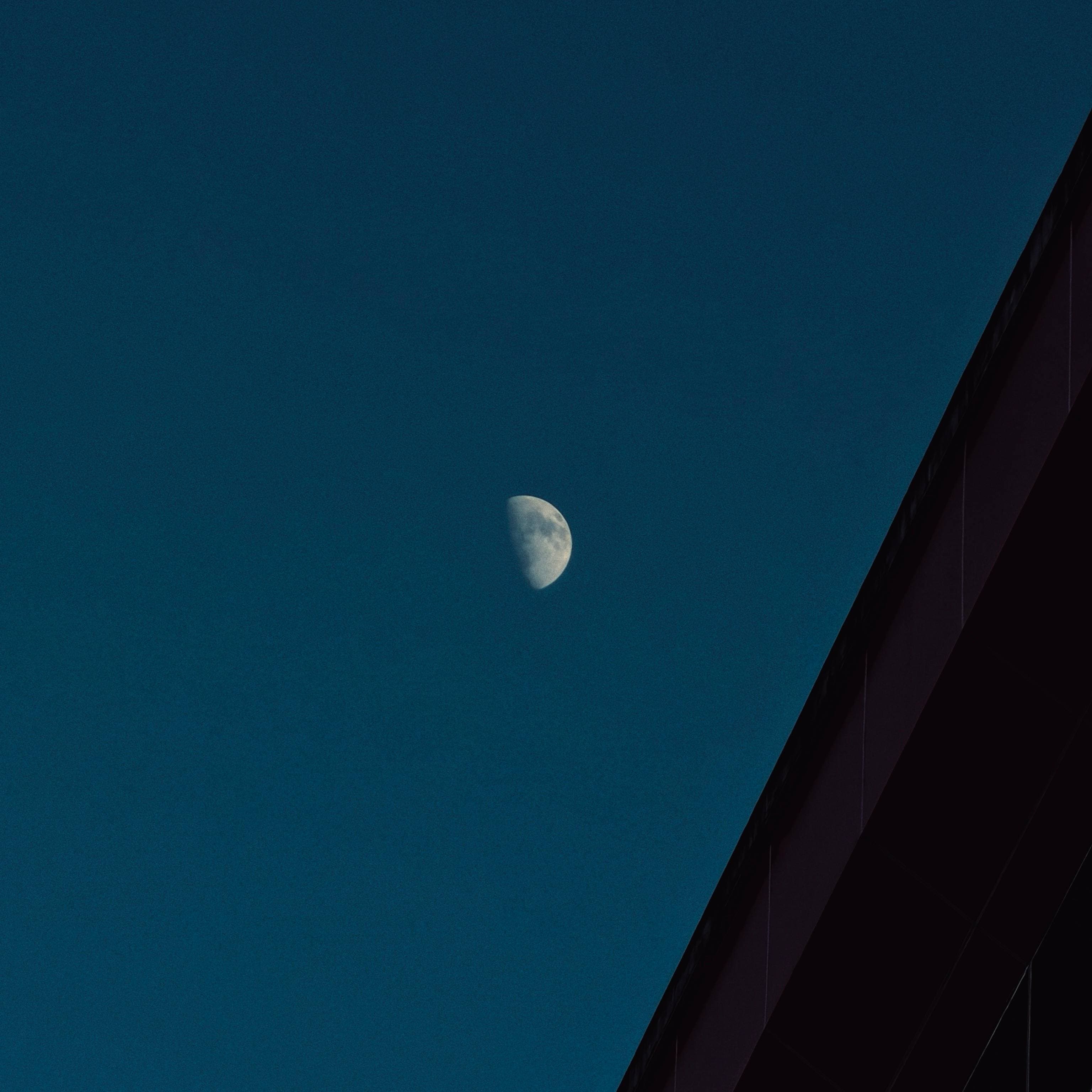 2025 11 29 lonely moon on her way to the bloom