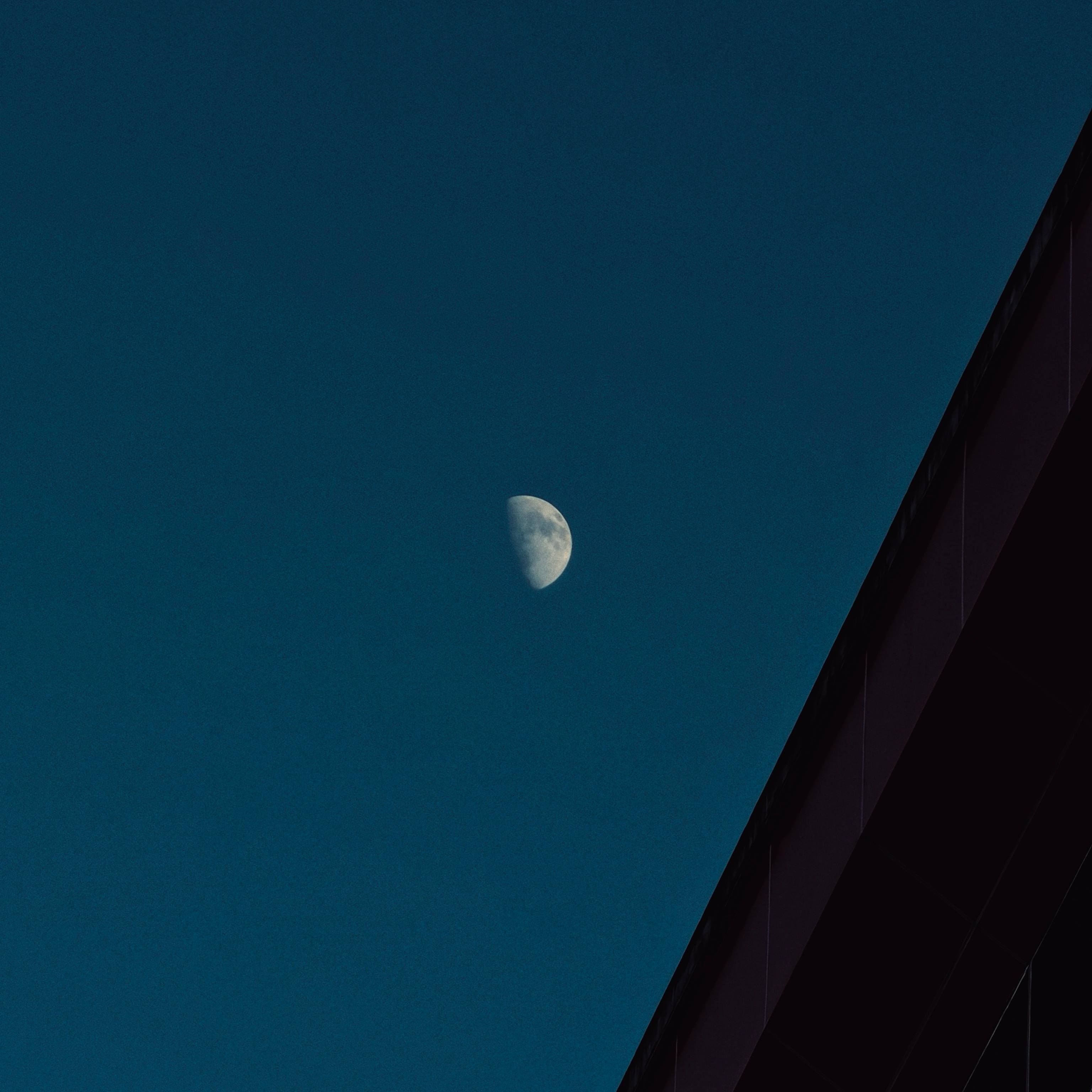 lonely moon on her way to the bloom